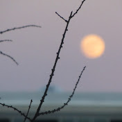 Profile Picture of Alex Frye (@peanutbutterrox1) on Youtube