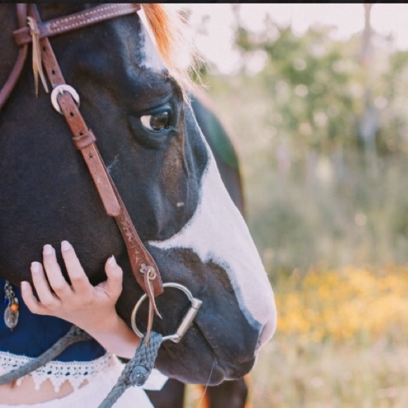 Profile Picture of Dawn Pressley (@dawn53000) on Poshmark