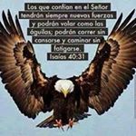 Profile Picture of Teofilo Martinez (@teofilo.martinez.731) on Instagram