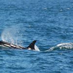 Profile Picture of Jake Mulcahy (@jmulcahyphotography) on Instagram