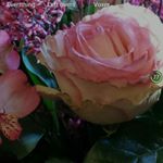 Profile Picture of Loretta Vasquez (@lorettavasquez) on Instagram