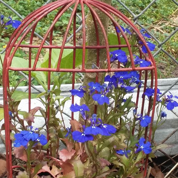 Profile Picture of Joyce Kubala (@joyce_kubala) on Poshmark