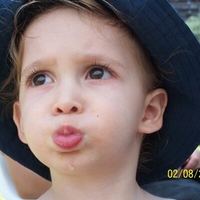 Profile Picture of Daniel Ben Shoham (@danielchook) on Twitter