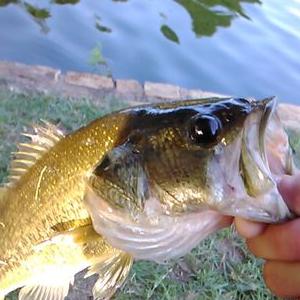 Profile Picture of Andrew Agius (@andrewagius7) on Twitter