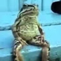 Profile Picture of Jocelyn Richards (@jocelyn-richards-6) on Quora