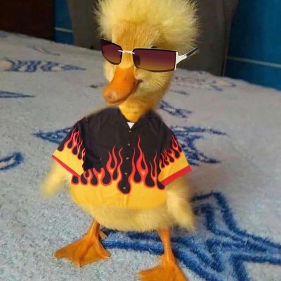 Profile Picture of Jordyn Gladson (@brandi_gladson) on Poshmark