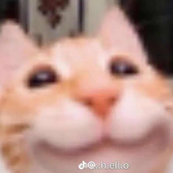 Profile Picture of ⠀ ⠀ ⠀ ⠀ ⠀ ⠀ (@christopher_berger) on Tiktok