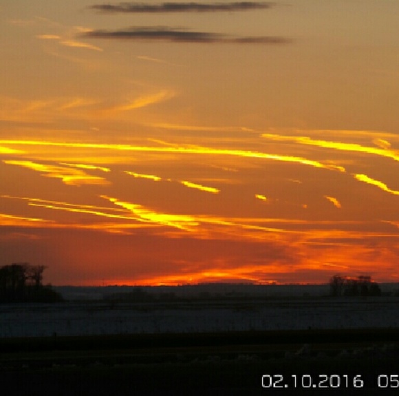 Profile Picture of Alyson Campbell (@campbellae22) on Poshmark