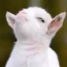 Profile Picture of Taylor McKinstry (@ThatOtherGuyTPM) on Twitter