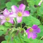 Profile Picture of 羅維民 (@weimin_luo) on Instagram