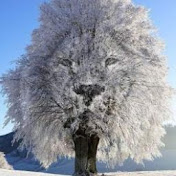 Profile Picture of Harold T. Carson, Jr. (@htcarsonjr) on Youtube