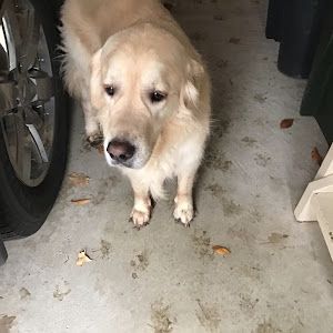 Profile Picture of johnstumbaugh (@johnstumbaugh) on Tiktok