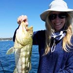 Lisa Yerger - Instagram Profile Picture of Lisa Yerger (@lisa.yerger) on Instagram