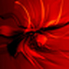 Profile Picture of mohamed kaid (@alkaladi2010) on Flickr
