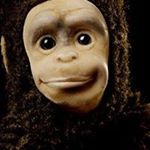 Profile Picture of John Marron (@jvmarron) on Instagram