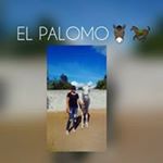 Profile Picture of Jasmine Tovar (@kimberlytovar348) on Instagram