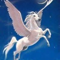 Profile Picture of Erin Matthews (@erin-matthews-12) on Quora