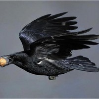 Profile Picture of David Blythe (@david-blythe-6) on Quora