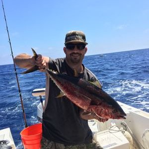 Profile Picture of Brandon Mayors (@BrandonMayors) on Twitter