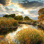 Marc Horner - Instagram Profile Picture of Marc Horner (@marc.horner) on Instagram