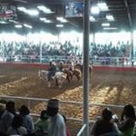 Profile Picture of Claude Brown (@claude.brown.904108) on Instagram