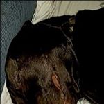 Dylan Welch - Instagram Profile Picture of Dylan Welch (@dylan.welch.1654) on Instagram