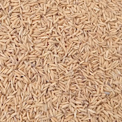 Profile Picture of Chad Ali (@ChadAli-w2v) on Youtube