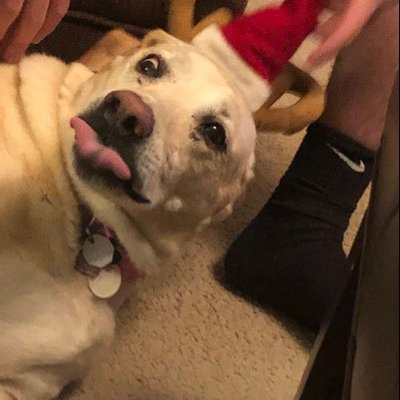 Profile Picture of Chris Brickey (@ChrisBrickey3) on Twitter