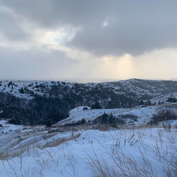 Profile Picture of Hunter Moser (@moserhunter9) on Poshmark