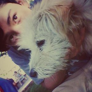 Dante Paez - Twitter Profile Picture of Dante Paez (@DanTheePaeZ) on Twitter