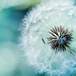 Profile Picture of Tina Zeng (@zeng7414) on Instagram