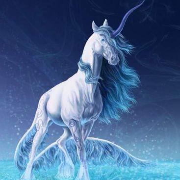 Profile Picture of Sonia Webb (@soniaw1974) on Twitter