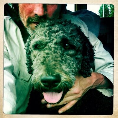 Profile Picture of Erik Tresse (@ErikTresse) on Twitter