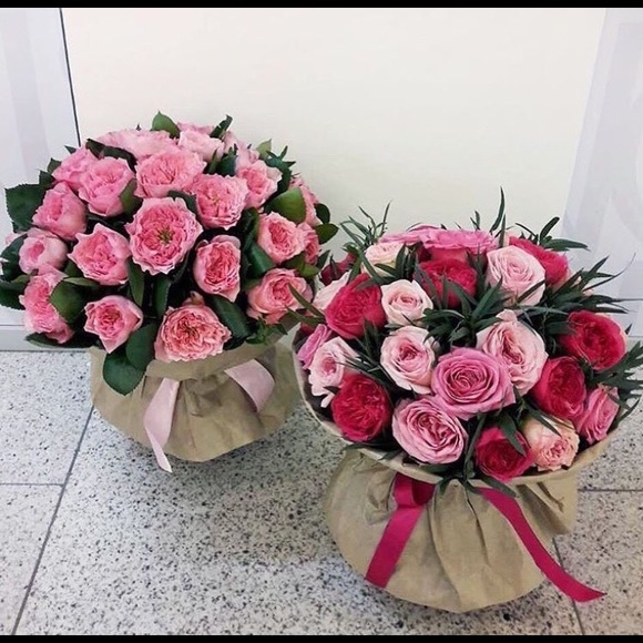 Majeda Ismaaeel - Poshmark Profile Picture of Majeda Ismaaeel (@majeda123) on Poshmark