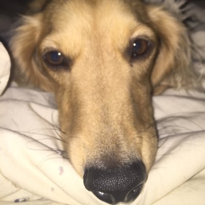 Profile Picture of Bryce Orr (@bryceorr) on Twitter