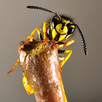 Profile Picture of James Li (@jamesli photo) on Flickr