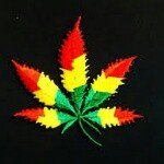 Profile Picture of alexpavink (@alexpavinl6412) on Instagram