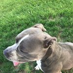 Profile Picture of Jason (@jasonmassaro92) on Instagram