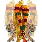 Profile Picture of   Rajesh pillai Kodaik... (@user9827261049657) on Tiktok