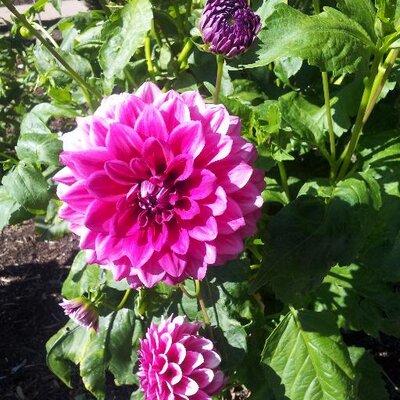 Profile Picture of Fleck Jean Martin (@fleckjean) on Twitter