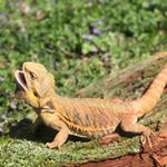 Profile Picture of benjamin_wright777 (@benjamin_wright777) on Instagram