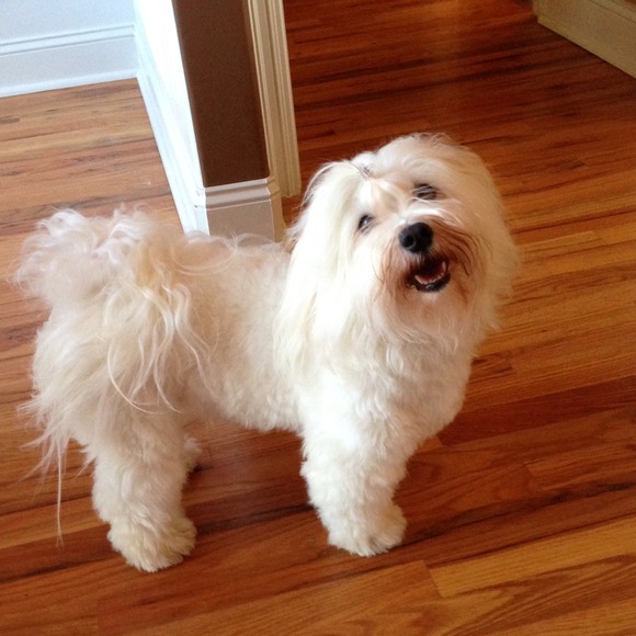 Profile Picture of Wendy Warrington (@windym300) on Poshmark