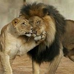 Profile Picture of Абу Карим Машуко (@__mashuko2444__) on Instagram