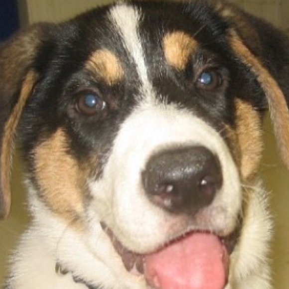 Profile Picture of Thomas Mcbride (@thomasmcbride) on Poshmark