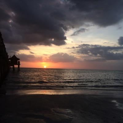 Profile Picture of Nick Fiume (@NickFiume) on Twitter