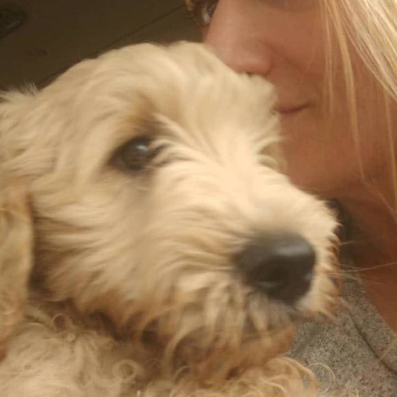 Profile Picture of Amy Lanfranchi (@amylanfranchi) on Poshmark