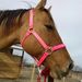 Profile Picture of Lindsey Tolbard (@lindseytolbard) on Pinterest