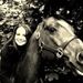 Profile Picture of Jessica Levinson (@dylansmommy27) on Pinterest