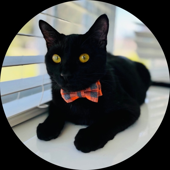 Profile Picture of R & l Vaughn (@rlvaughn114) on Poshmark