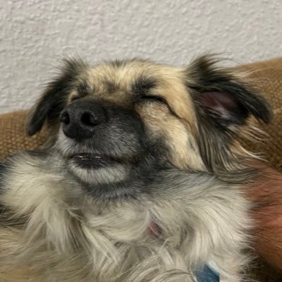 Profile Picture of Patrick Nord (@patrickNord4) on Twitter